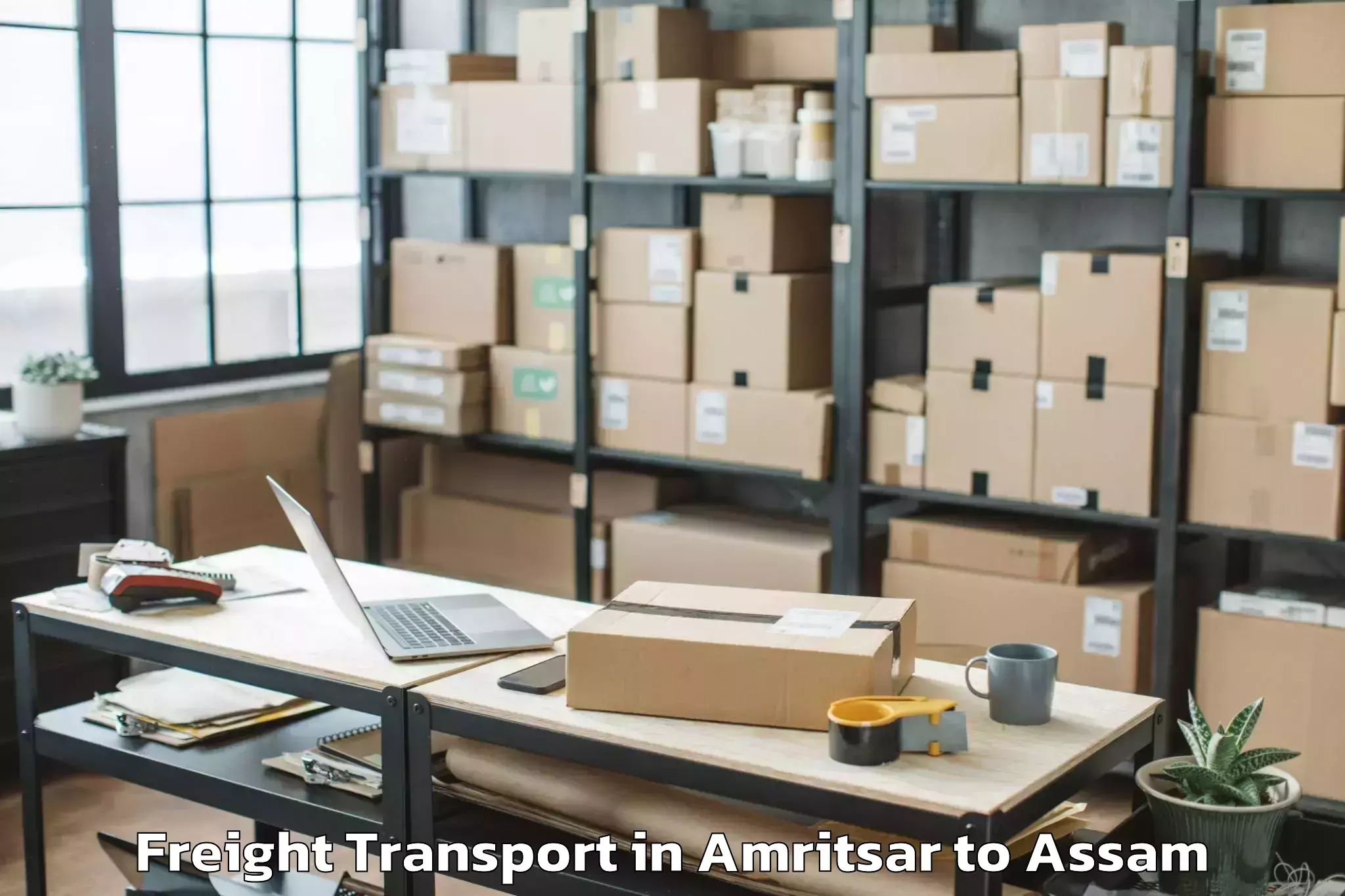 Professional Amritsar to Kaliabor Freight Transport